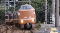 振り子式やくも