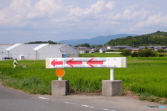 たんぼ