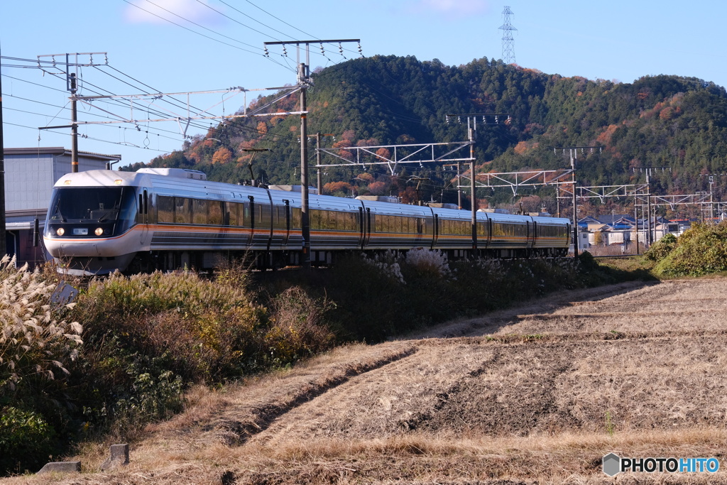 滋賀にやってきたしなの