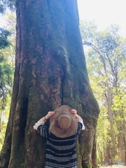 壮大な眼差し