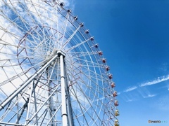 ゆめめぐる