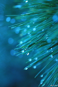 通り雨