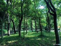 息づく緑