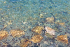 加太の海
