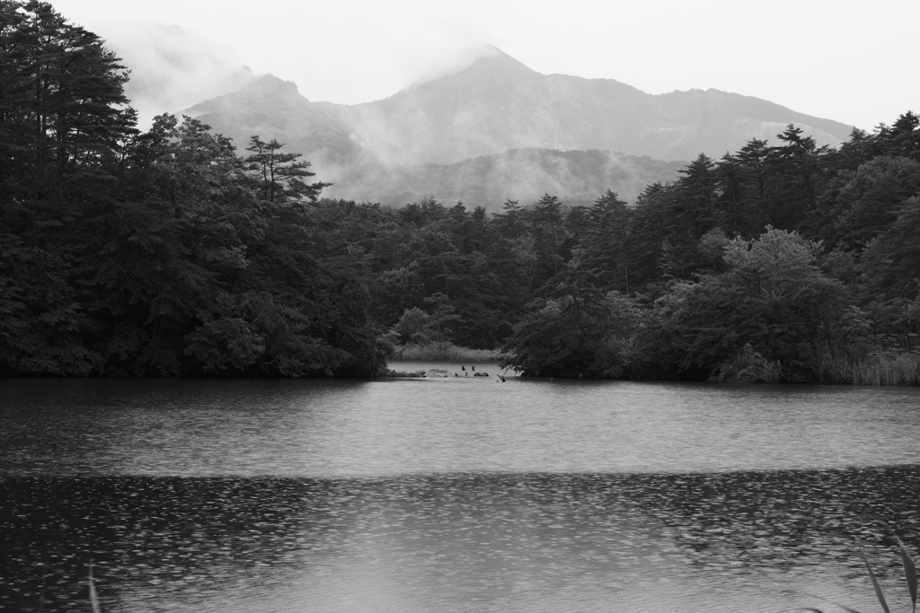 雨の日の毘沙門沼