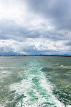 佐渡汽船の景色