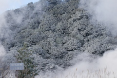 硫黄谷噴気地帯公園