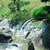 番所庭園