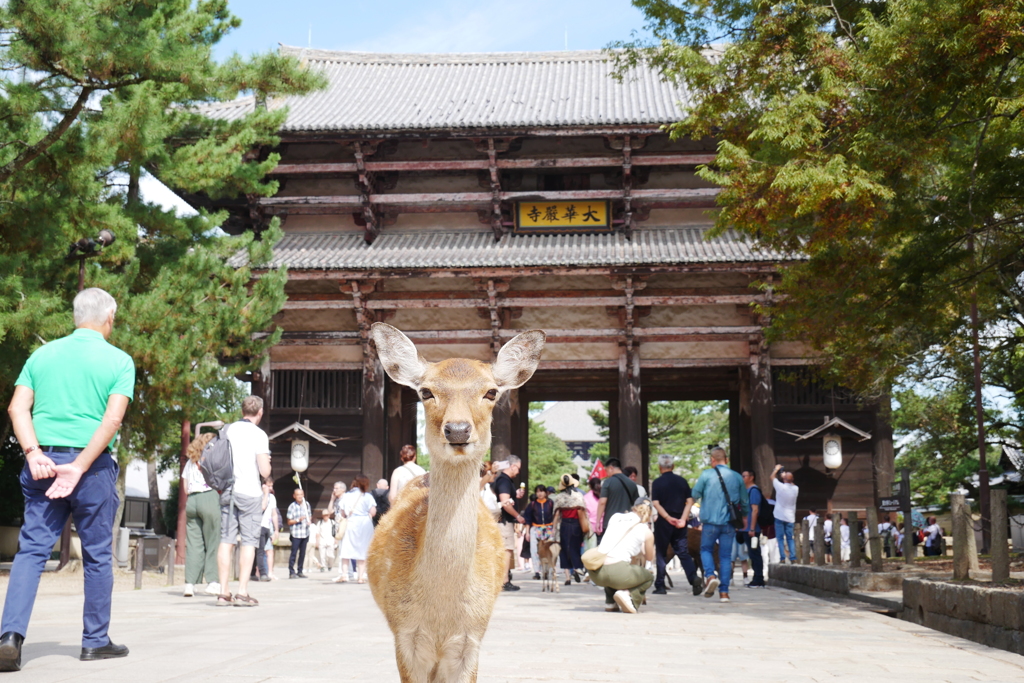 東大寺南大門