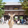 東大寺南大門