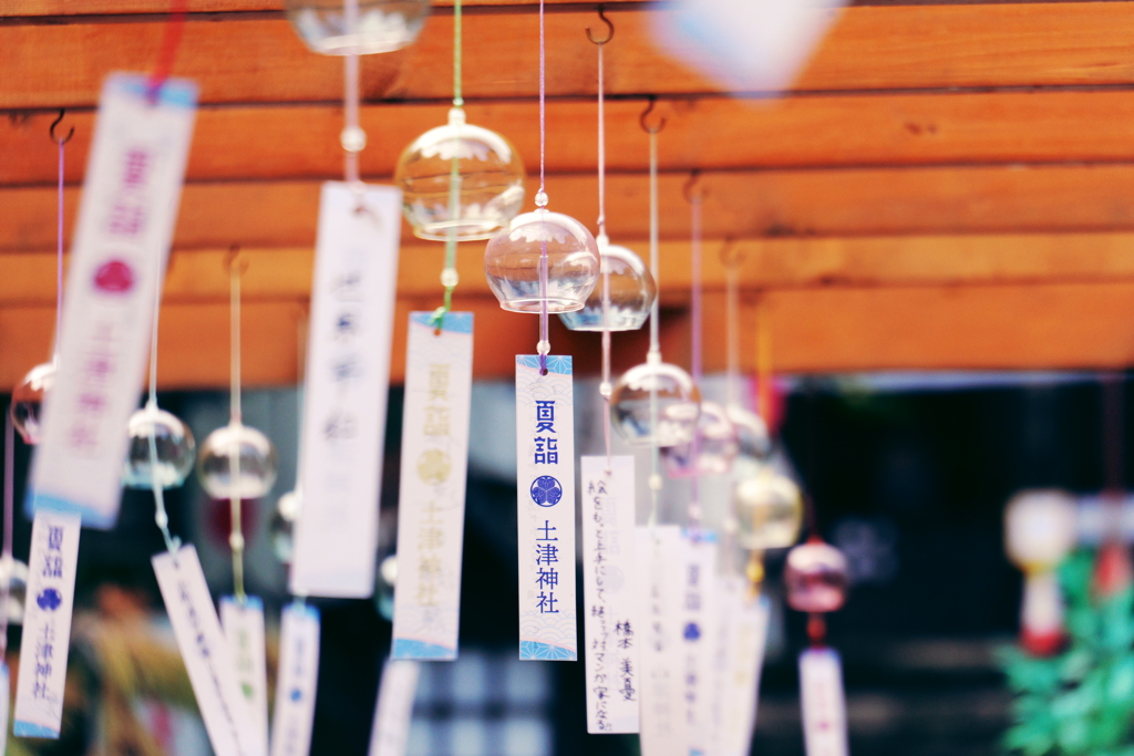 夏詣　土津神社