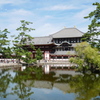 東大寺鏡池