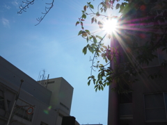 光を撮る