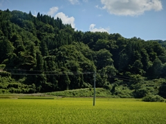 田舎町