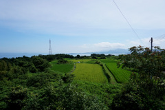 島の景色