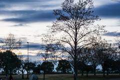 夕焼けの公園