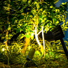 植え込みライトアップ