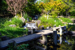 今日は水が流れていた