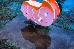 雨上がりの金魚さん