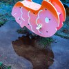 雨上がりの金魚さん