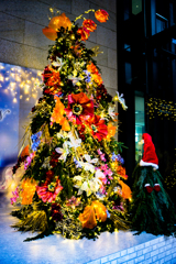 クリスマスツリー