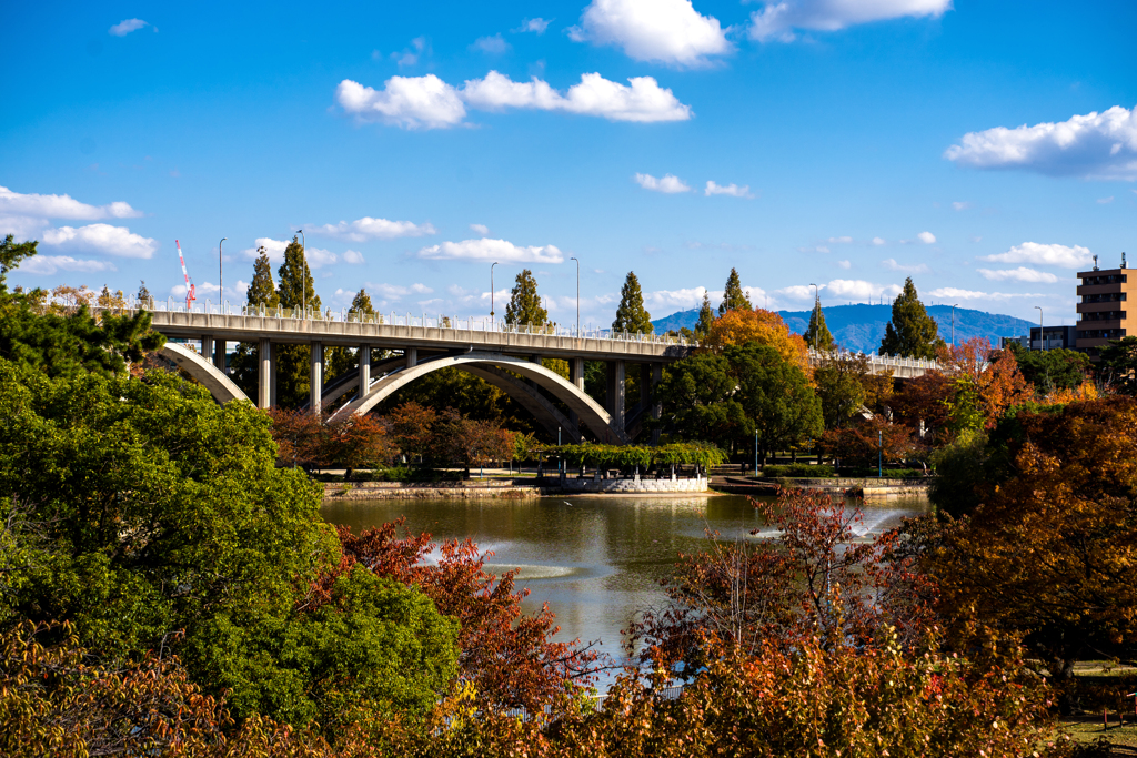 河川敷から見た橋