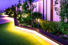 屋上の植え込み