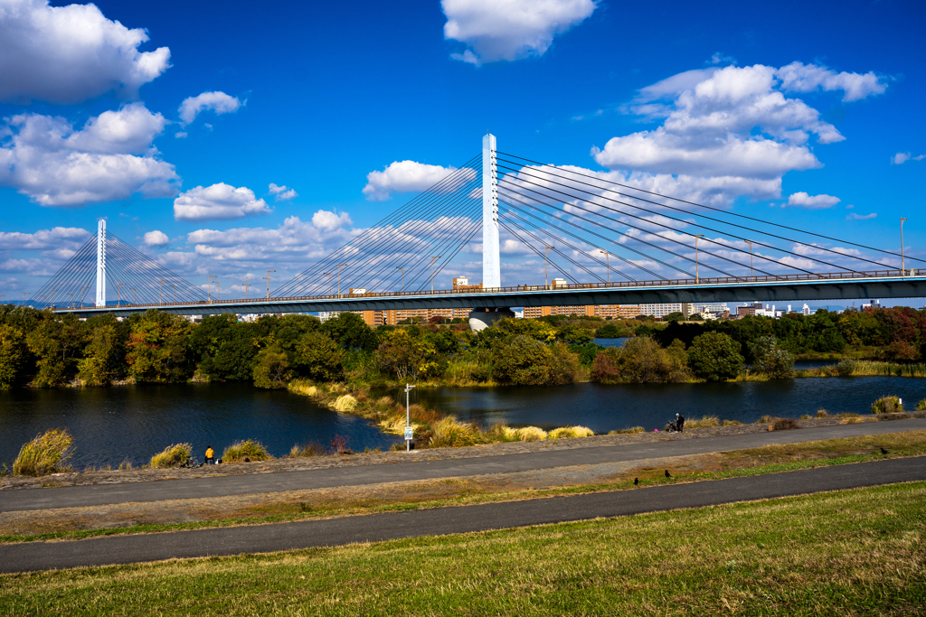 河川敷から見た橋