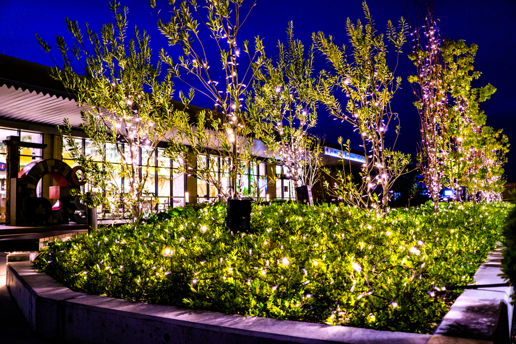 イルミネーション