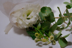 頂き物の花