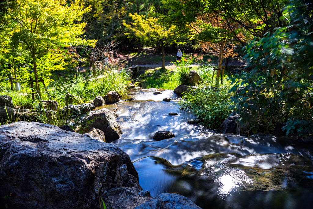 上流から見た川の流れ