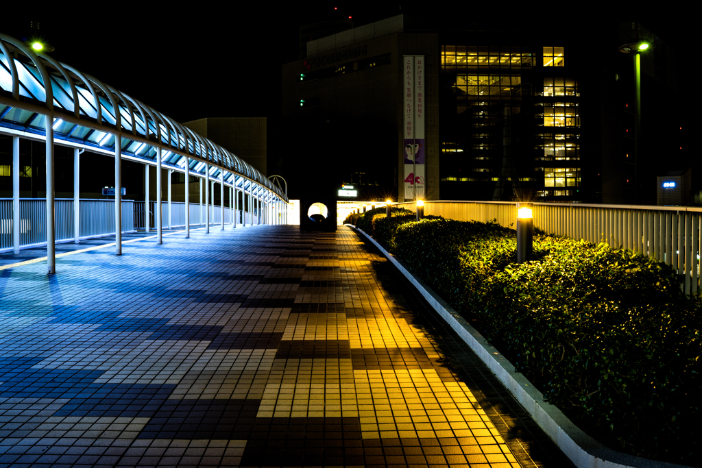 夜の歩道橋