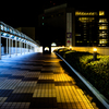 夜の歩道橋
