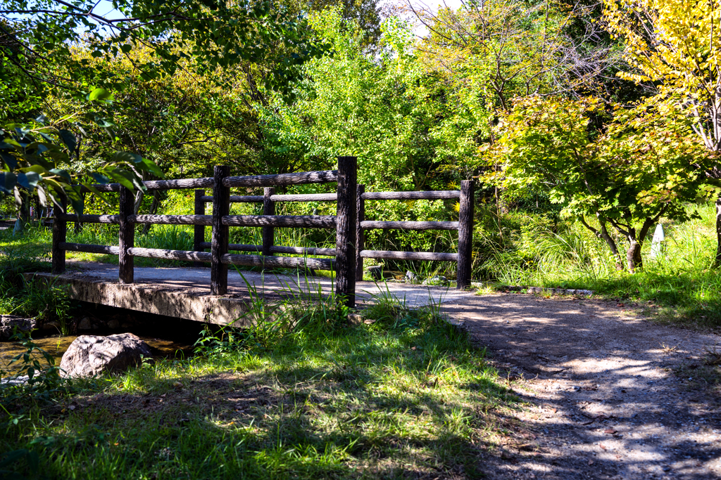 公園にある橋