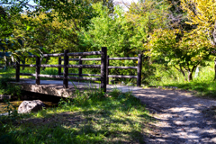 公園にある橋