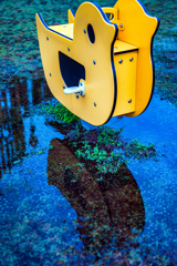 雨上がりのあひるさん