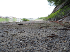 河川脇の道