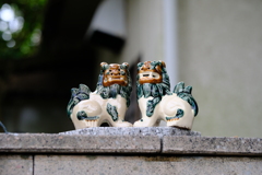 仲良し