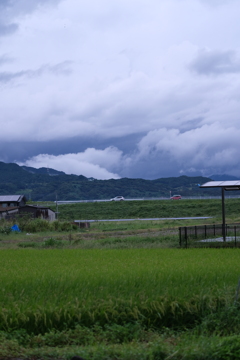 雨上がり