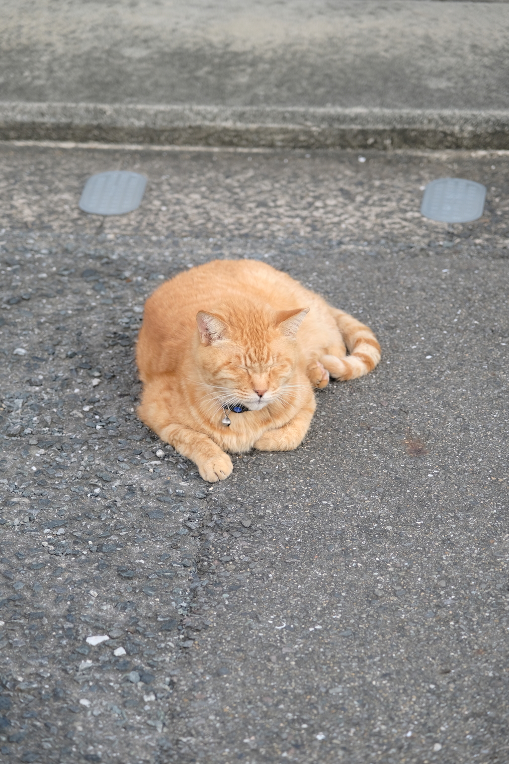 いい夢見てる？
