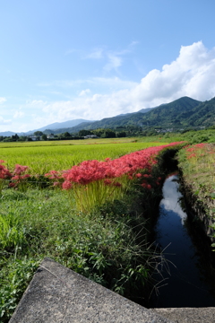 いい天気