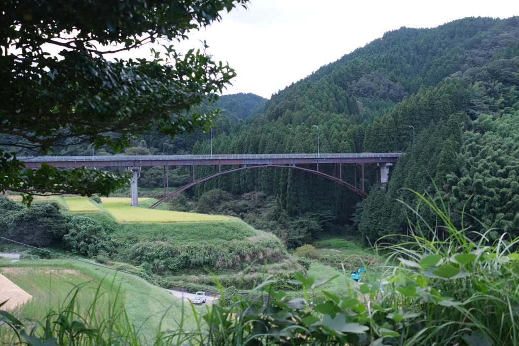 雨上がりの橋