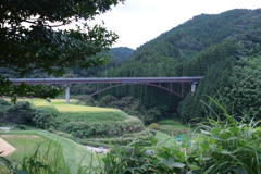 雨上がりの橋