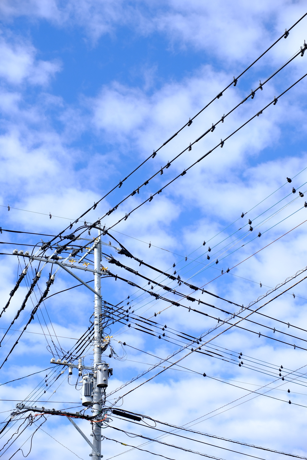電線と空