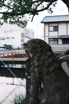 狛犬