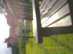 bbfe2eac-5ee6-4f70-8193-b4035ed5cf14-1_a