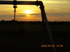 IMGP1784
