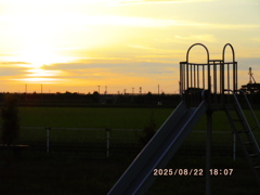 IMGP1787
