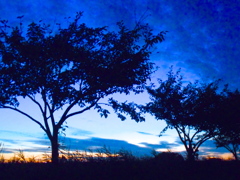 DSCN1228
