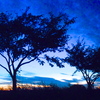 DSCN1228